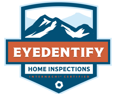 EYEdentify logo